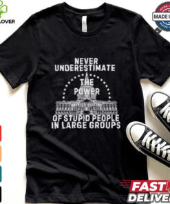 Never underestimate the power of stupid people in large groups shirt 1 Never underestimate the power of stupid people in large groups shirt