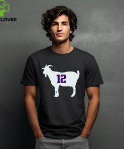 New England Patriots Tom Brady goat 12 hoodie, sweater, longsleeve, shirt v-neck, t-shirt