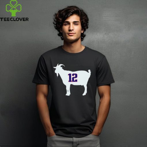 New England Patriots Tom Brady goat 12 hoodie, sweater, longsleeve, shirt v-neck, t-shirt