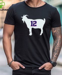 New England Patriots Tom Brady goat 12 hoodie, sweater, longsleeve, shirt v-neck, t-shirt