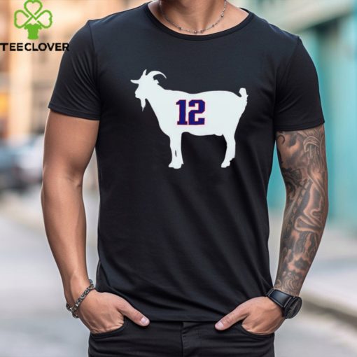 New England Patriots Tom Brady goat 12 hoodie, sweater, longsleeve, shirt v-neck, t-shirt