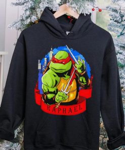 Ninja Turtle Raph Raphael skyline hoodie, sweater, longsleeve, shirt v-neck, t-shirt