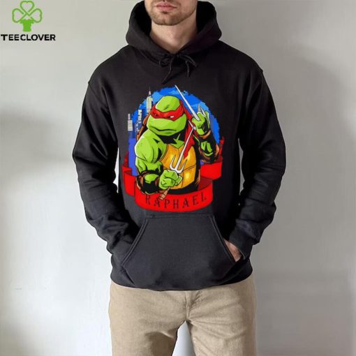 Ninja Turtle Raph Raphael skyline hoodie, sweater, longsleeve, shirt v-neck, t-shirt