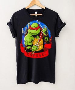 Ninja Turtle Raph Raphael skyline hoodie, sweater, longsleeve, shirt v-neck, t-shirt