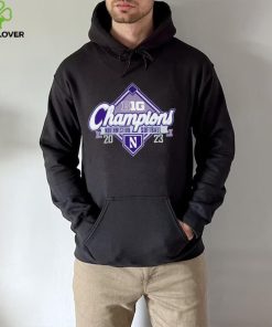 Northwestern Wildcats 2023 Big Ten Northwestern Softball Regular Season Champions logo shirt