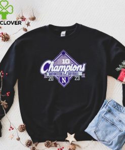Northwestern Wildcats 2023 Big Ten Northwestern Softball Regular Season Champions logo shirt