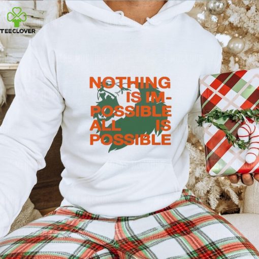 Nothing Is Im Possible All Is Possible Lions hoodie, sweater, longsleeve, shirt v-neck, t-shirt