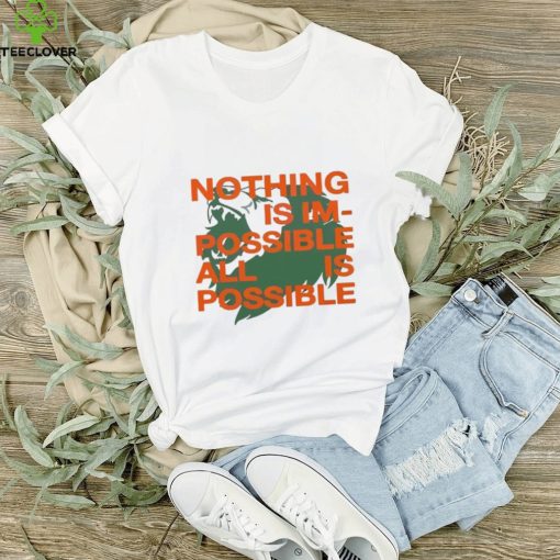 Nothing Is Im Possible All Is Possible Lions hoodie, sweater, longsleeve, shirt v-neck, t-shirt