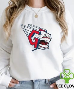 Official Aleraszn 3 out of 4 in Boston shirt