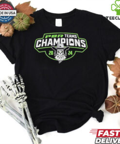 Official Austin Gamblers 2024 Champions T shirt