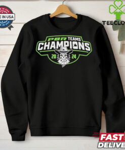 Official Austin Gamblers 2024 Champions T shirt