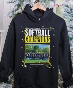 Official Baldwin Wallace 2024 Ohio Athletic Conference Softball Champions hoodie, sweater, longsleeve, shirt v-neck, t-shirt