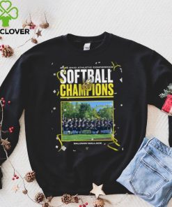 Official Baldwin Wallace 2024 Ohio Athletic Conference Softball Champions hoodie, sweater, longsleeve, shirt v-neck, t-shirt