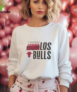 Official Chicago Bulls Noches Ene Be A Training T hoodie, sweater, longsleeve, shirt v-neck, t-shirt