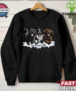 Official Dashing through the snow newfoundland dogs Christmas 2024 T shirt