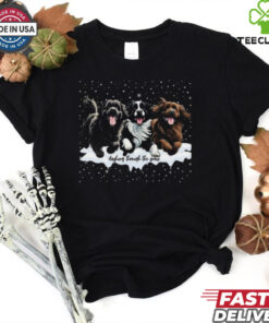 Official Dashing through the snow newfoundland dogs Christmas 2024 T shirt