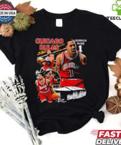 Official Derrick Rose no 1 Chicago Bulls basketball graphic hoodie, sweater, longsleeve, shirt v-neck, t-shirt