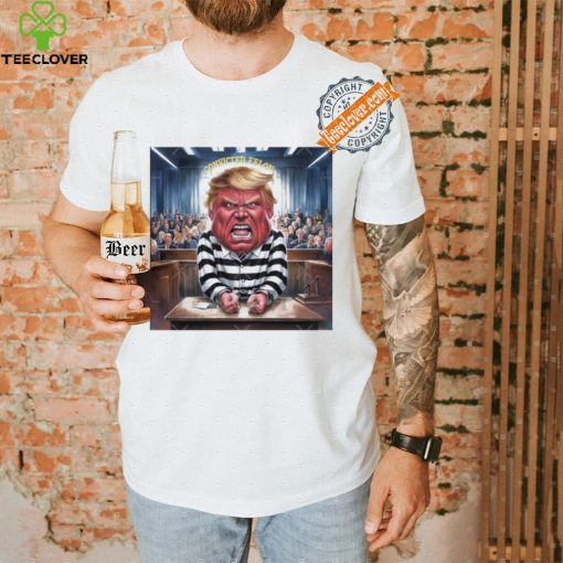 Official Donald Trump Convicted Felon Prison Pinstripes Classic T Shirt