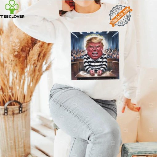 Official Donald Trump Convicted Felon Prison Pinstripes Classic T Shirt