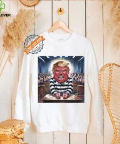 Official Donald Trump Convicted Felon Prison Pinstripes Classic T Shirt