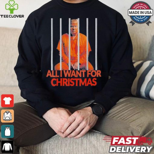 Official Donald Trump In Prison All I Want For Christmas Prison Political 2024 Election T hoodie, sweater, longsleeve, shirt v-neck, t-shirt