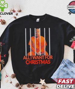 Official Donald Trump In Prison All I Want For Christmas Prison Political 2024 Election T hoodie, sweater, longsleeve, shirt v-neck, t-shirt