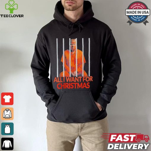 Official Donald Trump In Prison All I Want For Christmas Prison Political 2024 Election T hoodie, sweater, longsleeve, shirt v-neck, t-shirt