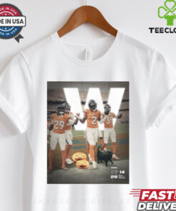 Official Final Denver Broncos 28 – 14 Carolina Panthers Halloweekend Dub Poster t shirt