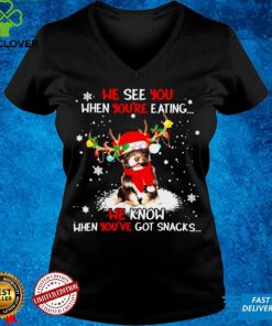 Official Havanese we see You when youre eating we know when youre got snacks Christmas shirt hoodie, sweater Shirt