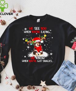 Official Havanese we see You when youre eating we know when youre got snacks Christmas shirt hoodie, sweater Shirt