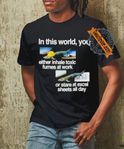 Official In This World You Either Inhale Toxic Fumes At Work Or Stare At Excel Sheets All Day T Shirt