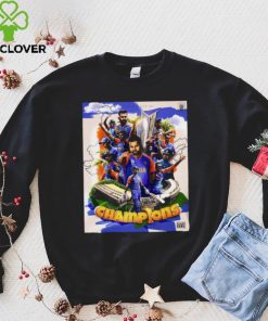 Official India T20 World Cup 2024 Champions Win Poster shirt