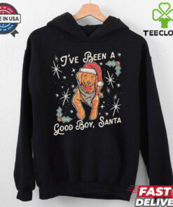Official I’ve Been A Good Boy Santa 2024 Shirt
