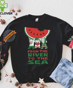 Official Mich from the river to the sea watermelon palestine hoodie, sweater, longsleeve, shirt v-neck, t-shirt