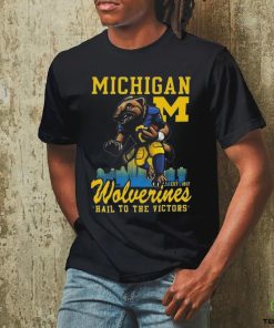 Official Michigan Wolverines Hail To The Victors hoodie, sweater, longsleeve, shirt v-neck, t-shirt