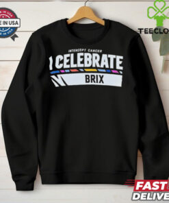 Official NFL Intercept Cancer I Celebrate Brix 2024 t hoodie, sweater, longsleeve, shirt v-neck, t-shirt