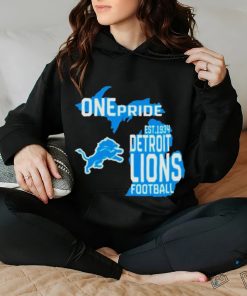 Official One pride detroit lions Football hoodie, sweater, longsleeve, shirt v-neck, t-shirt
