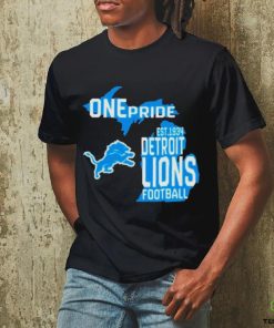 Official One pride detroit lions Football hoodie, sweater, longsleeve, shirt v-neck, t-shirt