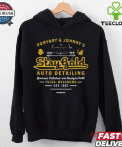 Official Ponyboy and Johnny Stay Gold Auto Detailing T hoodie, sweater, longsleeve, shirt v-neck, t-shirt