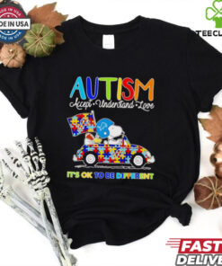 Official Snoopy and Woodstock Detroit Lions Autism it’s ok to be different shirt