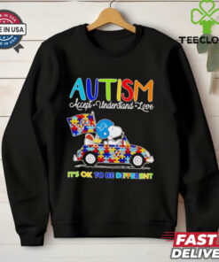 Official Snoopy and Woodstock Detroit Lions Autism it’s ok to be different shirt