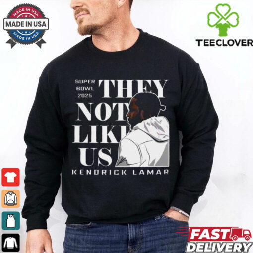 Official Super Bowl 2025 They Not Like Us Kendrick Lamar Vintage T Shirt