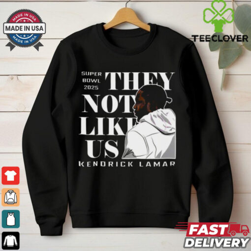 Official Super Bowl 2025 They Not Like Us Kendrick Lamar Vintage T Shirt