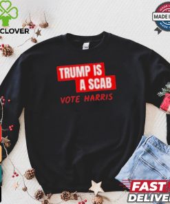 Official Trump Is Ascap Vote Harris T hoodie, sweater, longsleeve, shirt v-neck, t-shirt