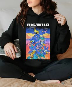 Official big Wild In Morrison, CO On July 17, 2024 Poster hoodie, sweater, longsleeve, shirt v-neck, t-shirt