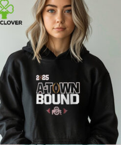 Ohio State Buckeyes Nike A Town Bound T Shirt
