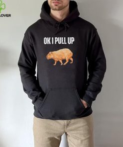 Ok I pull up capybara capybara meme ok I pull up hoodie, sweater, longsleeve, shirt v-neck, t-shirt