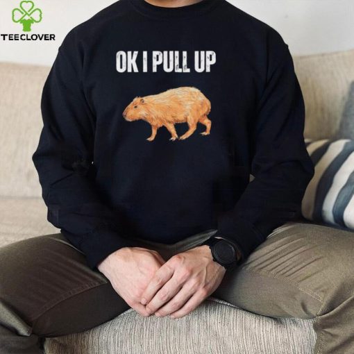 Ok I pull up capybara capybara meme ok I pull up hoodie, sweater, longsleeve, shirt v-neck, t-shirt