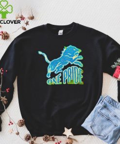 One Pride Lions vintage hoodie, sweater, longsleeve, shirt v-neck, t-shirt