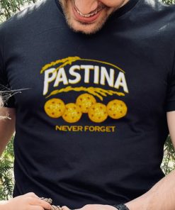 Pastina never forget hoodie, sweater, longsleeve, shirt v-neck, t-shirt